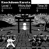 knockdownkarate-p.gif (4311 bytes)