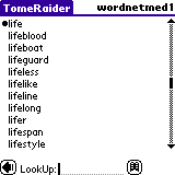 tomeraider-dic-med1-1.gif (2108 bytes)