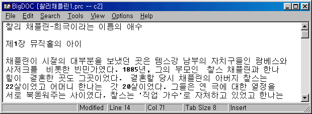 bigdoc-2.gif (11931 bytes)